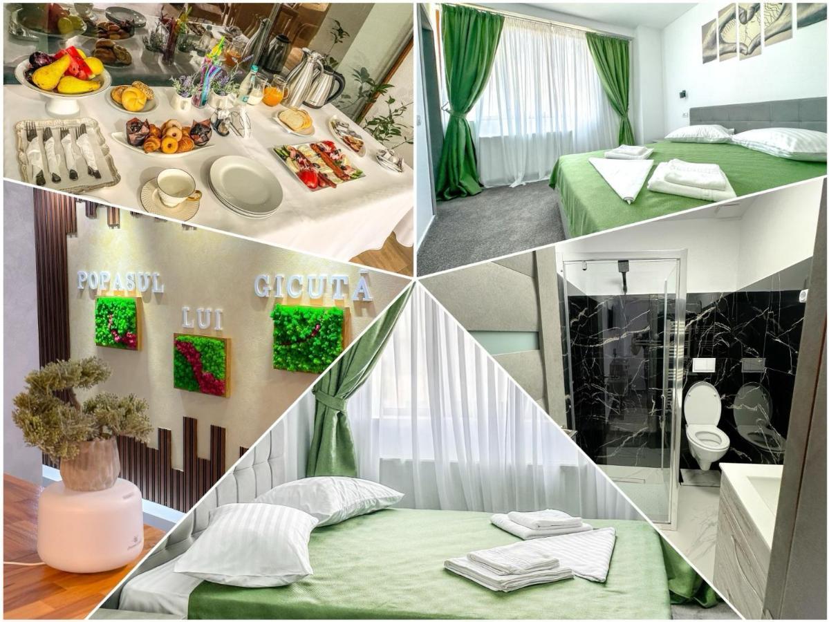 Bed and Breakfast Popasul Lui Gicuta Куртя-де-Арджеш Экстерьер фото