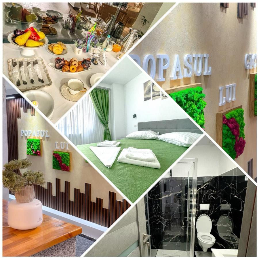 Bed and Breakfast Popasul Lui Gicuta Куртя-де-Арджеш Экстерьер фото