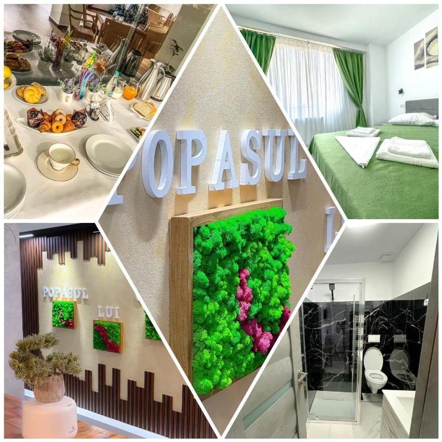 Bed and Breakfast Popasul Lui Gicuta Куртя-де-Арджеш Экстерьер фото